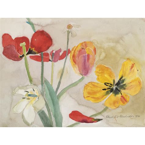 tulips and cats 4