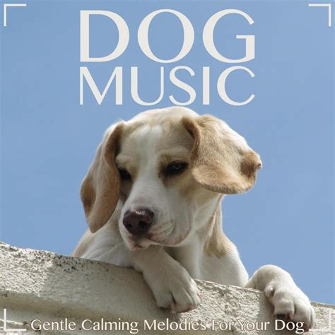 ‎Dog Music: Gentle Calming Melodies for Your Dog - Album by Music For ...