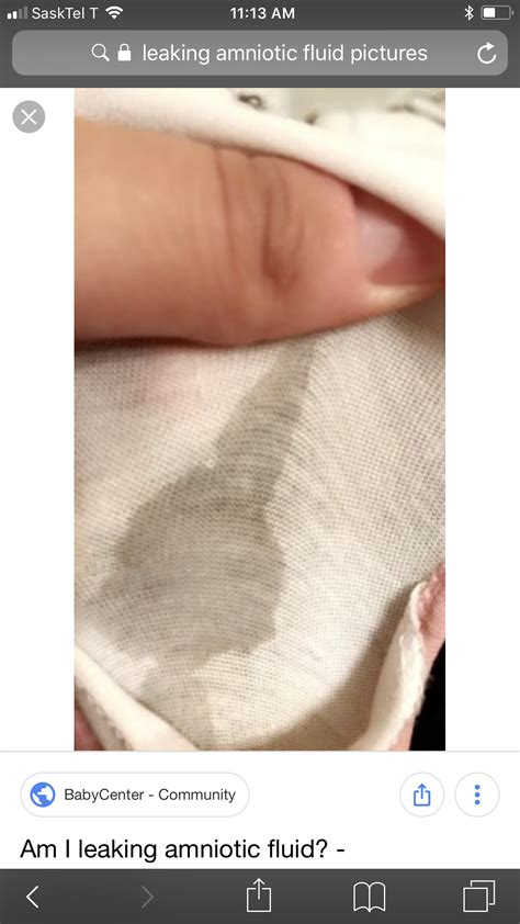 Breaking: The Siarly Leak and its Shocking Implications - sat2mcj