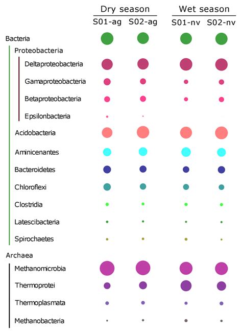 Composition And Abundance Of 16s Rrna Bacterial Communities At The