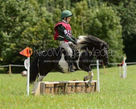 Image Mini Mini Section Quorn Hunt Pony Club Tetrathlon Nico