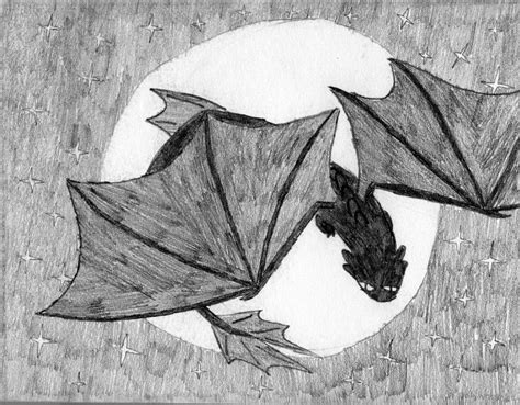 Night Fury Sketch by Cm25 on DeviantArt