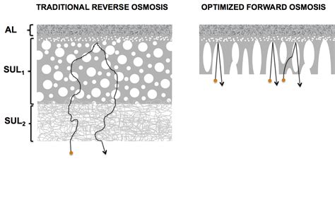 Guide to forward osmosis membranes | ForwardOsmosisTech