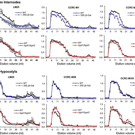 Galactan Immunolocalization In S I Gal And Bgal Bgal