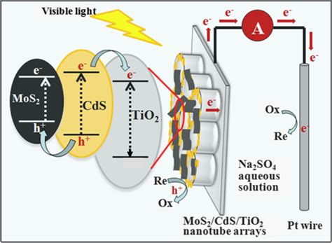 MoS2 和 CdS 在 TiO2 纳米管阵列上的共改性以改善光电化学性能 Ionics X MOL