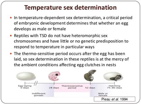 Environmental Control Sex Determination