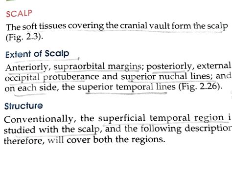 SOLUTION: Scalp layers - Studypool