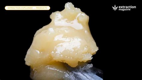 what-is-live-rosin-extraction-magazine-glossary - Extraction Magazine