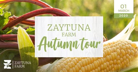 Zaytuna Farm Permaculture Courses And Events