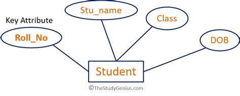 What Is Entity In Dbms