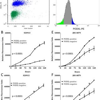 Knockdown Of PODXL Expression Correlates With Decreased Cell