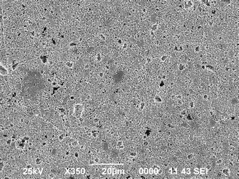 SEM Images Of Surface Morphology Of Ni Based Anode Before PLD A And