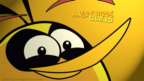 Angry Birds обои 1920x1080 от Madfive5 Птица Шар Фан клуб Angry Birds