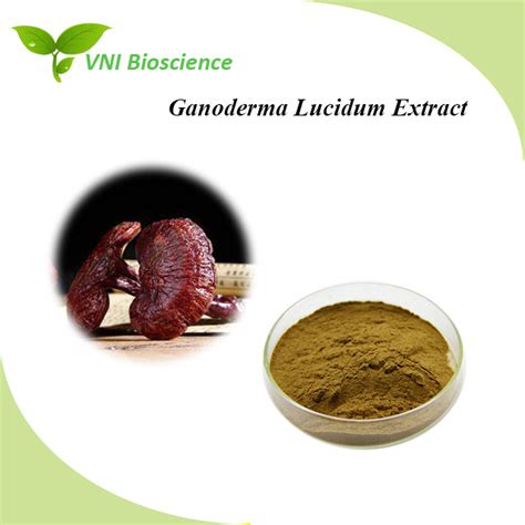 Kosher 100 Natural Reishi Mushroom Powder Ganoderma Lucidum Extract