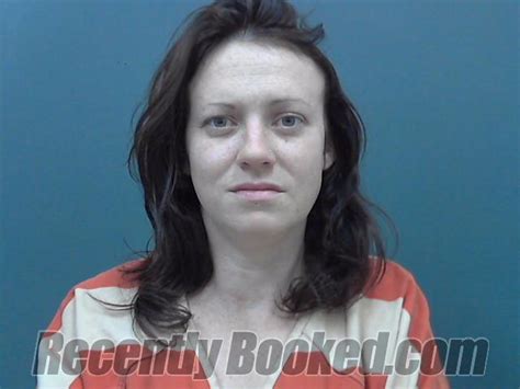 Recent Booking Mugshot For Ayla June Mcelroy In Cassia County Idaho