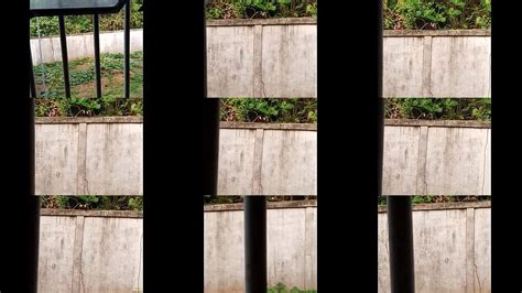 Monkey Search XVIDEOS