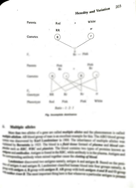 SOLUTION: Chromosomal theory of inheritance - Studypool 