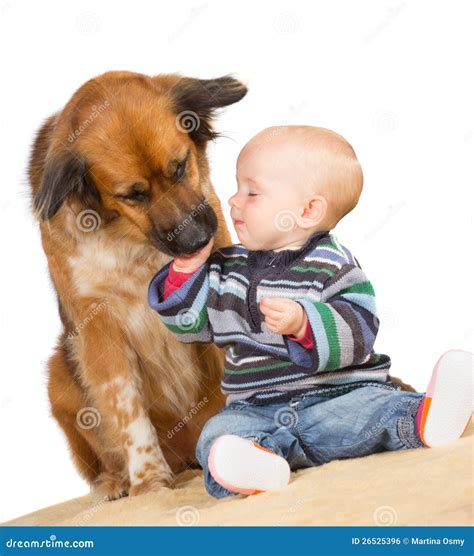 What Does It Mean When Dog Licks Baby