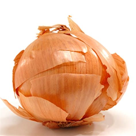 Onion Skins Botanical Colors