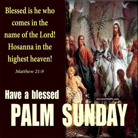 Have A Blessed Palm Sunday Pictures Photos And Images For Facebook