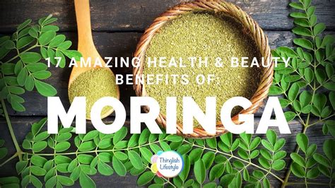 17 Amazing Health And Beauty Benefits Of Moringa Youtube