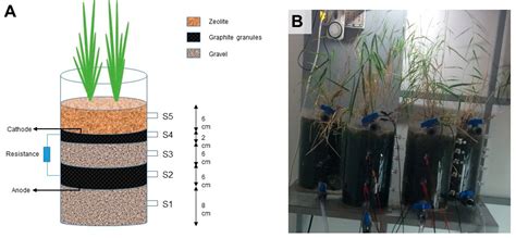 Water Free Full Text Constructed Wetland Microbial Fuel Cells For