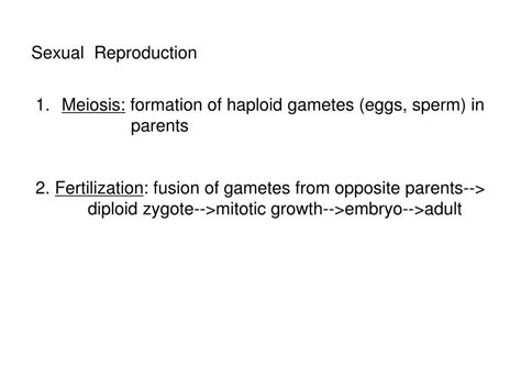 Ppt Ch 13 Sexual Life Cycles And Meiosis Powerpoint Presentation Free Download Id6089672