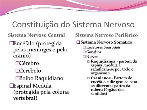 Sistema Neurohormonal Sistema Nervoso Sistema Endcrino Funo Coordenar