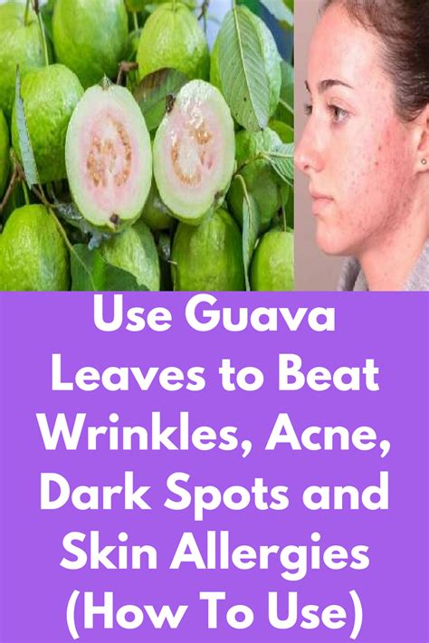 Guava Leaves For Skin - Reciplaza