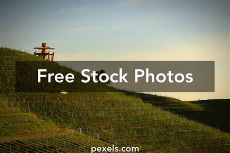 Vineyard Landscape Photos, Download The BEST Free Vineyard Landscape ...