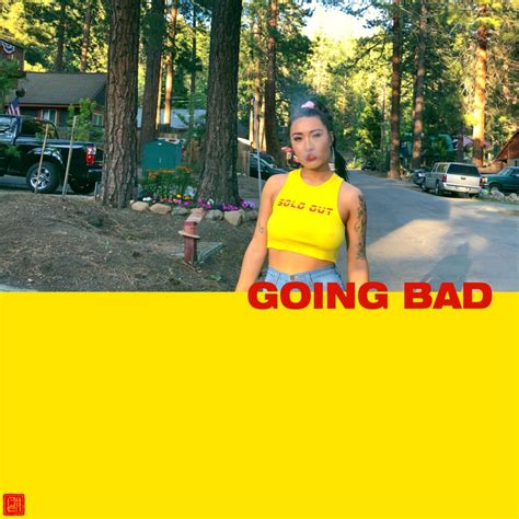 BAER – Going Bad (Remix) Lyrics | Genius Lyrics