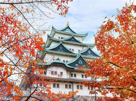 Visit Nagoya Castle! Nagoya's Famous Landmark - Nagoya is not boring