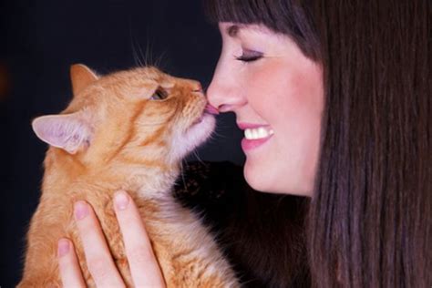 6 Ways To Talk To Your Cat Lifestylecat