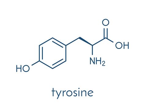 Top 28 Tyrosine-Rich Foods and Their Benefits - Dr. Robert Kiltz