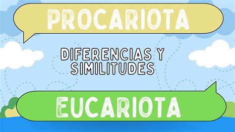 Diferencias entre procariota y eucariota