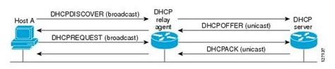 Configuring Ipv Addressing And Subnetting Examcollection