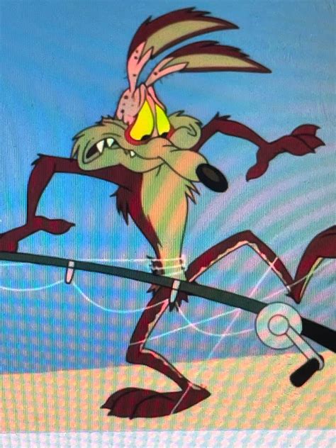 Wile E. Coyote by OhYeahCartoonsFan on DeviantArt