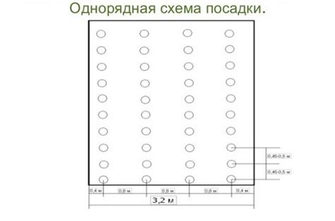 Огурцы в теплице из поликарбоната, посадка и уход, пасынкование