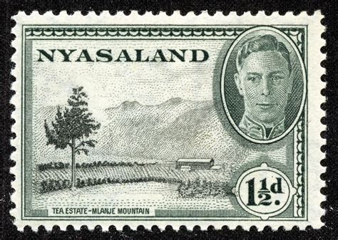 Big Blue 1840-1940: Nyasaland Protectorate