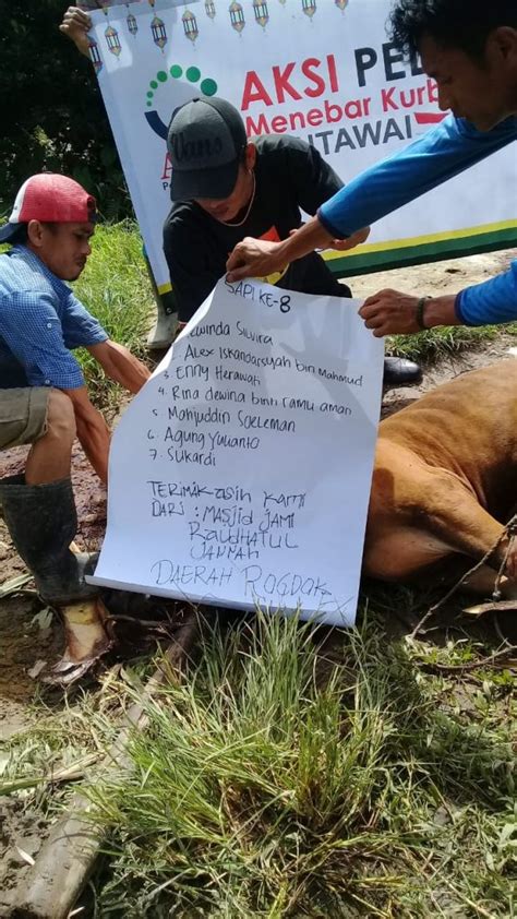 Laporan Kegiatan Penyembelihan Penyaluran Hewan Kurban Pedalaman