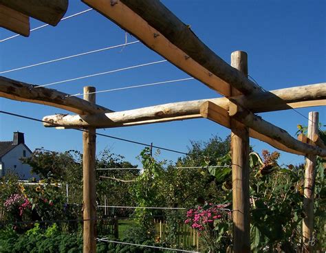 Rankhilfen Spannrahmen Als Freistehende Rankhilfen Im Garten