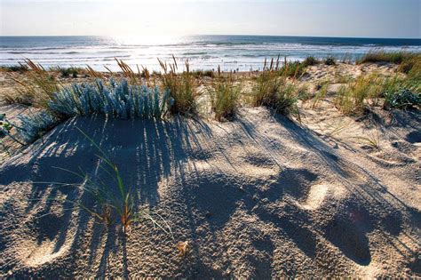 Qualité Tourisme™ & Sustainable resorts | Landes beaches