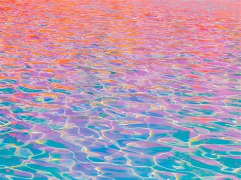 types  pool algae    ways   rid