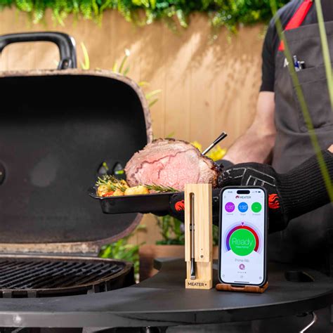 Traeger Meater Plus Smart Wireless Meat Thermometer RT1-MT-MP01 | RONA