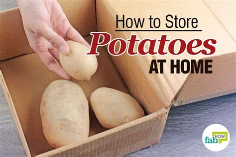 Tips For Curing And Storing Potatoes Onions And Garlic 49 OFF