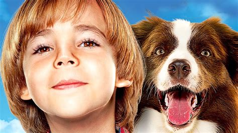 Film De Chien Qui Parle Complet En Francais Chien Nouvelles