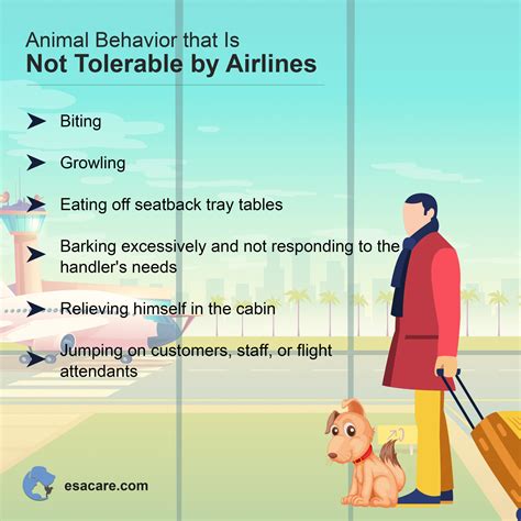 delta airlines for pets 7
