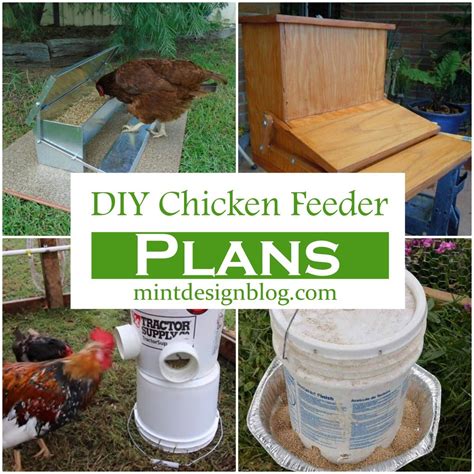 15 DIY Chicken Feeder Plans For Hen Farming Mint Design Blog