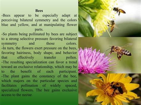 COEVOLUTION OF PLANT AND INSECT POLLINATORS | PPT