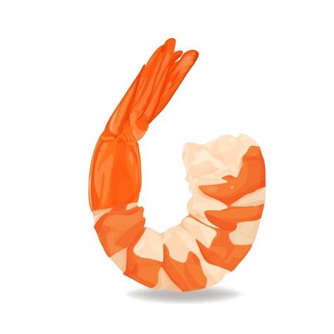 Premium Vector Shrimps Isolated On A White Background Vector